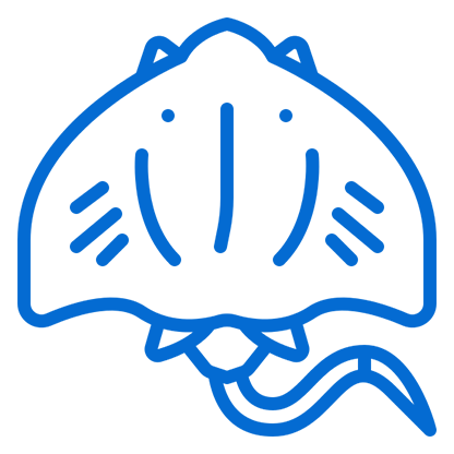Stingray