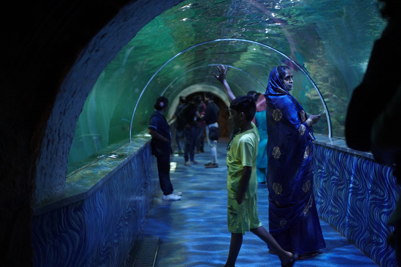 Underwater Tunnel
